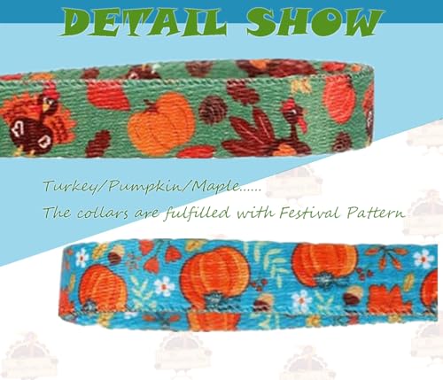 BoomBone Thanksgiving Dog Collar for Medium Dogs, Quick Release Fall Dog Collar - color: Thanksgiving, size: M