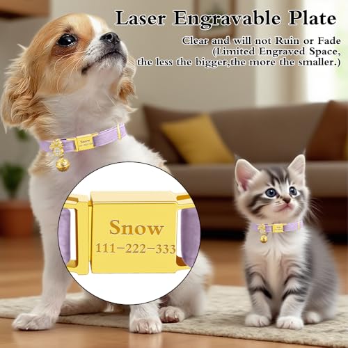 Personalized Breakaway Cat Collars - Magnetic Buckle, Bell - Safety Quick Release, Customized for Girls & Boys Cats- (Velvet-Light Purple) - color: Velvet-Light Purple