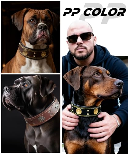 Leather Dog Collar, 2 inches Wide Heavy Duty Genuine Leather Collars, Handmade, Soft, and Luxury, Eye-catching Best Choice for Large and Medium Breed Dogs, Red 21-25 in - color: Red, size: 21-25 in