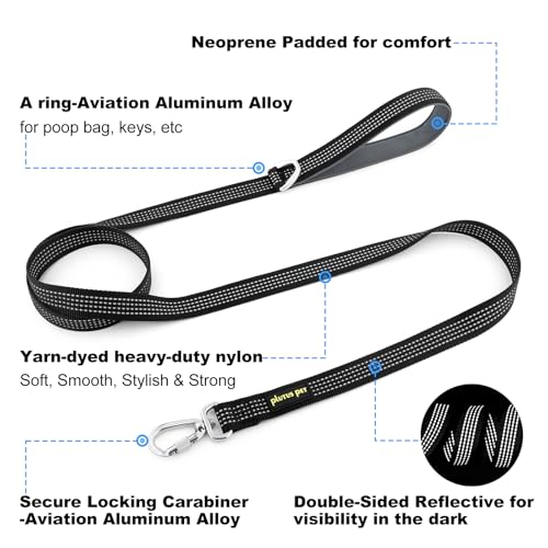 Plutus Pet Heavy Duty Dog Leash with Lockable Aluminum Carabiner, 4/6 Feet Long, Double-Sided Reflective Nylon, Padded Handle, for Puppy, Small, Medium and Large Dogs (Black, 4/5" x 4') - color: Black, size: 4/5" x 4'