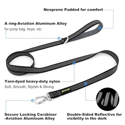 Plutus Pet Heavy Duty Dog Leash with Lockable Aluminum Carabiner, 4/6 Feet Long, Double-Sided Reflective Nylon, Padded Handle, for Puppy, Small, Medium and Large Dogs (Black, 4/5" x 4') - color: Black, size: 4/5" x 4'