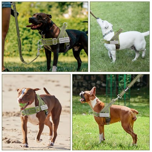 Lukovee No Pull Dog Harness and Leash Set - Heavy Duty Dog Vest with Soft Velvet Padding for Medium Large Dogs, Adjustable Reflective Tactical Harness with 2 Control Handles & Front Clip (S, Green) - color: Green, size: Small