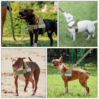 Lukovee No Pull Dog Harness and Leash Set - Heavy Duty Dog Vest with Soft Velvet Padding for Medium Large Dogs, Adjustable Reflective Tactical Harness with 2 Control Handles & Front Clip (M, Green) - color: Green, size: Medium