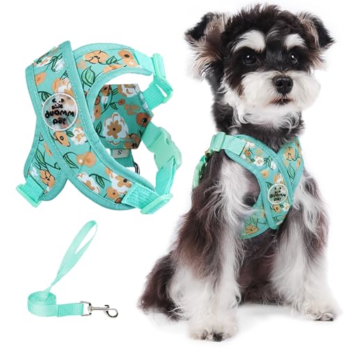 Dog Harness with Leash Set Adjustable Soft Padded Step-in Dog Vest No Choke No Pull Reflective for Small Pets with Poop Bags and Dispenser, Solid and No-chew, Floral Green XS - color: Floral Green, size: XS (Neck 16-19.1'' Chest 18.8-21.5'')