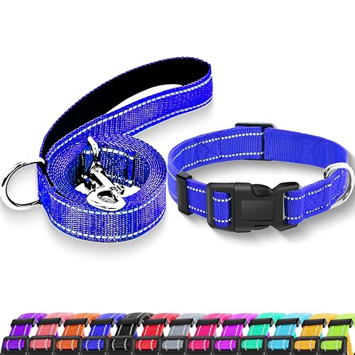 Reflective Dog Collar with Safety Locking Buckle, Adjustable Soft Breathable Nylon Collars for Small, Medium and Large Dogs(Collar+Leash XS Width 3/8" Navy Blue) - color: Navy Blue, size: XX-Small (Width 3/8")