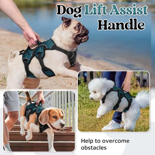 rabbitgoo Escape Proof Dog Harness Small Sized Dog, Soft Padded Full Body Pet Harness, Reflective Adjustable Vest with Lift Handle and Leash Clip for Walking Hiking Training, Dark Green, S - color: Dark Green, size: Small (Pack of 1)