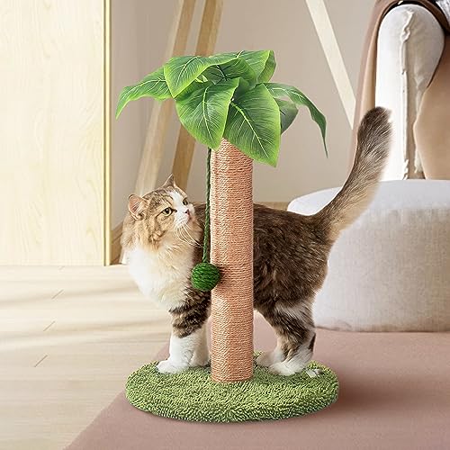 Meowoou Cat Scratching Post with Hanging Ball,23.6 inch Tall Cute Cat Toys for Indoor Cats with Sisal Rope,Palm Decor Cat Tree Tower for Kitten Scratcher Green - size: 23.6 in Green