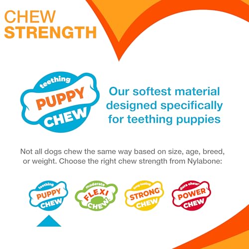 Nylabone Dental Dinosaur Puppy Power Chew Toy, Soothing Puppy Teething Bone, Enrichment Toy for Puppies, Chicken Flavor, Small Dogs - Up to 25 lbs., 1 Count - color: Dinosaur