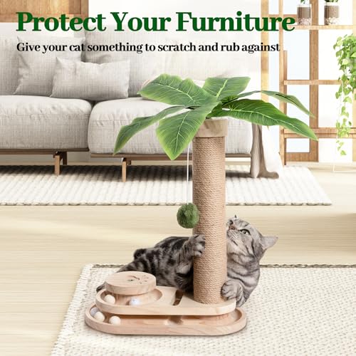 Meowoou Cat Scratching Post Cat Scratcher Interactive Toy with Dangling Ball for Indoor Kitten 2 Layer Base Wooden Ball Track 17.7" Tall Modern Sisal Scratch Pole - size: 18 in Ball Track