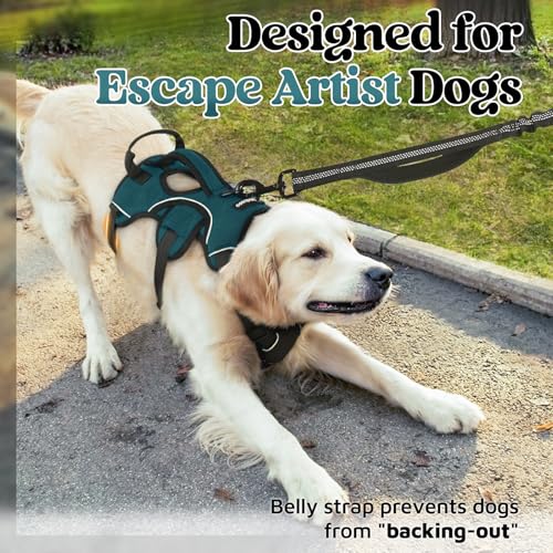 rabbitgoo Escape Proof Dog Harness Medium, Soft Padded Full Body Pet Harness, Reflective Adjustable No Pull Vest with Lift Handle and Leash Clip for Walking Hiking Training, Dark Green, M - color: Dark Green, size: Medium (Pack of 1)