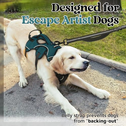 rabbitgoo Escape Proof Dog Harness Medium, Soft Padded Full Body Pet Harness, Reflective Adjustable No Pull Vest with Lift Handle and Leash Clip for Walking Hiking Training, Dark Green, M - color: Dark Green, size: Medium (Pack of 1)