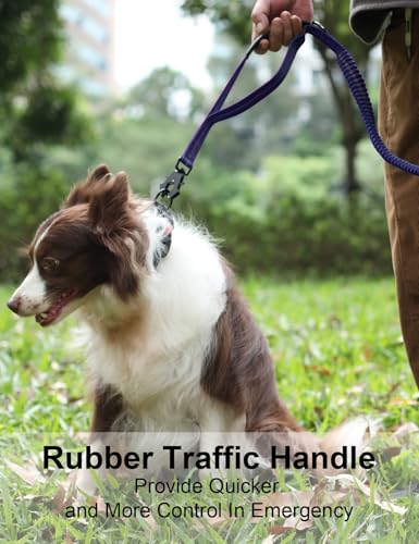 Heavy Duty Dog Leash, 4-6FT Shock Absorbing Dog Leashes with Traffic Handle and Comfortable Padded Handles, Advanced Easy Metal Clip, No Pull Reflective Leash for Medium Large Dogs that Pull (Blue) - color: Blue