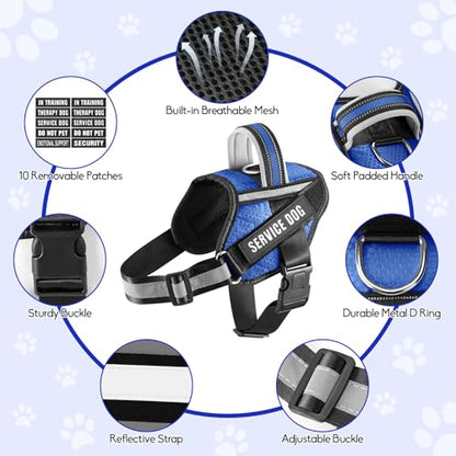 Service Dog Vest Harness and Leash Set, Animire in Training Dog Harness with 10 Dog Patches, Reflective Dog Leash with Soft Padded Handle for Small, Medium, Large, and Extra-Large Dogs (Blue,S) - color: Blue, size: S