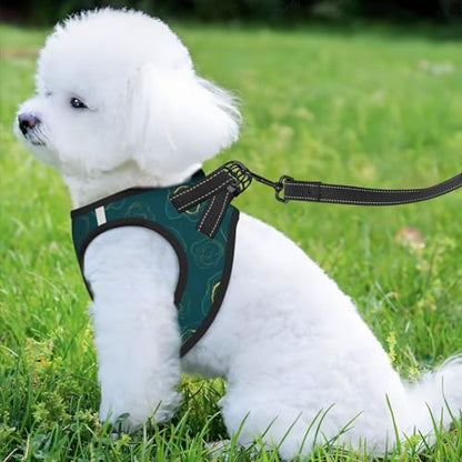 Double Padded Dog Harness Vest Set, Gold Glitter Watercolor Ink Splash Paint Teal Green Marble, Choke-Free Reflective Straps with Easy Neck Adjustment, Small Medium Pet Walking - color: Style (521), size: Small