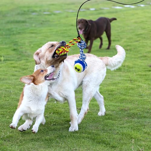 Flirt Pole for Dogs, Interactive Toys Tug-of-war for Dogs, Four-Section Retractable Adjustable Length, Chase Toys with Rope Chewing Sticks, for Outdoor Exercise & Training - size: 50Inch Pole-Black