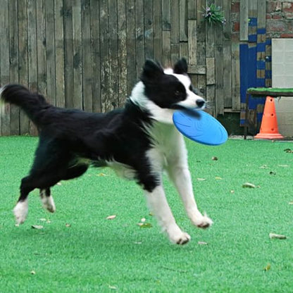 Dog Flying Discs Non Slip Dog Toy Soft Rubber Training Exercise Active Pet Training Disc Outdoor Dog Training Disc - color: blue, size: Small
