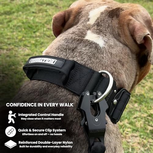 BULLYBREED | Heavy Duty Dog Leash, Tactical Dog Leash, Quick Release Frog Clip with Dual Anti-Tangling Swivel System for Large Dogs That Pull with Soft Handle (Yellow) - color: Yellow