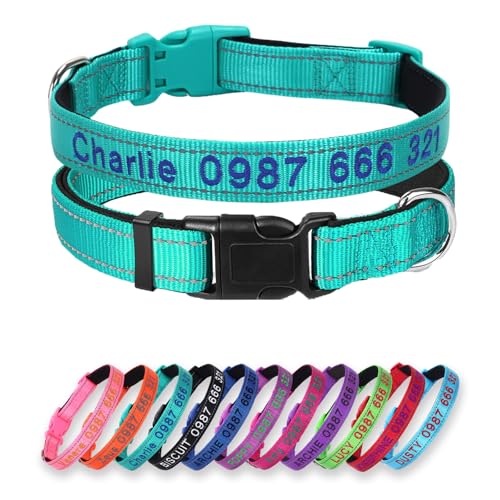 Padded Dog Collar,Soft Neoprene Personalized Pet Collar,Custom Embroidered Pet Name and Phone Number,Breathable Nylon Dog Collars,Quick Release Snap Buckle Dog Collar,Teal - color: Teal
