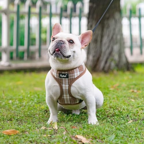 PUPTECK Soft Mesh Dog Harness and Leash Set Pet Puppy Cat Comfort Padded Vest No Pull Harnesses, Brown, XS - color: Brown, size: XS (NECK: 10", CHEST: 10"-14")