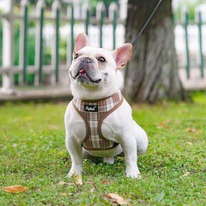 PUPTECK Soft Mesh Dog Harness and Leash Set Pet Puppy Cat Comfort Padded Vest No Pull Harnesses, Brown, XS - color: Brown, size: XS (NECK: 10", CHEST: 10"-14")