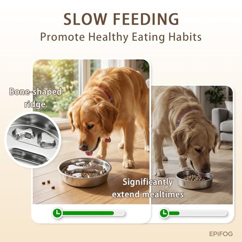 1 to 2 Cups Stainless Steel Slow Feeder Dog Bowl, Metal Slow Eating Feed Dog Bowl with Non-Slip Rubber Base, Slowfeeder for Puppies, Small and Medium Dogs Feeding - size: 1-2 Cups