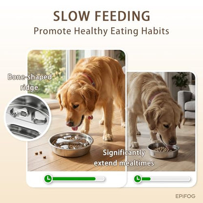 1 to 2 Cups Stainless Steel Slow Feeder Dog Bowl, Metal Slow Eating Feed Dog Bowl with Non-Slip Rubber Base, Slowfeeder for Puppies, Small and Medium Dogs Feeding - size: 1-2 Cups