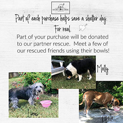Lucky Love Dog, Collapsible Dog Bowl Compact Travel Water Dog Dish, Steel - color: Steel