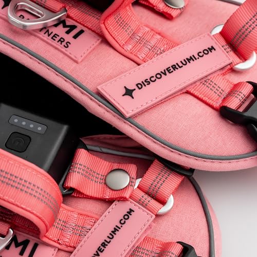 Lumi One LED Dog Harness for Night Visibility and Safety, Patent Pending – Light-Up Dog Vest, Reflective, Adjustable, Rechargeable, Durable, High-Visibility Pet Gear (Pink, Medium) - color: Pink, size: Medium