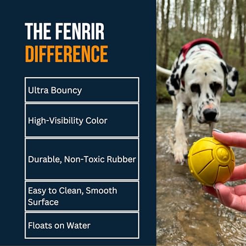 Fenrir - Dog Ball - High Bouncing Yellow Rubber for Fetch & Recall - 2.5 Inch Durable Floating Dog Toy - Water Retrievable Interactive Ball for All Breeds (Medium) - size: 2.5 inches