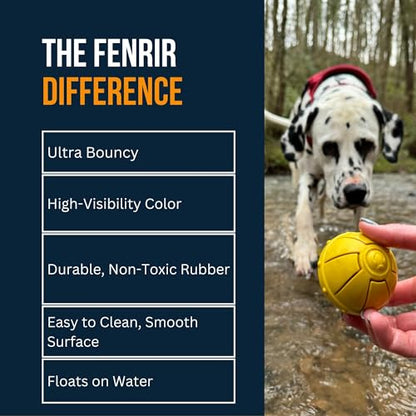 Fenrir - Dog Ball - High Bouncing Yellow Rubber for Fetch & Recall - 2.5 Inch Durable Floating Dog Toy - Water Retrievable Interactive Ball for All Breeds (Medium) - size: 2.5 inches