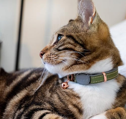 Rogz Urban Cat Safety Collar Small/Medium - Olive Twist - color: Olive Twist