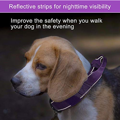Reflective Dog Collar Heavy Duty Tactical with Control Handle and Metal Buckle for Dog Training(M,Purple) - color: Purple, size: Medium (Pack of 1)
