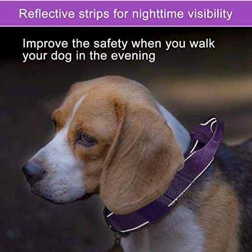 Reflective Dog Collar Heavy Duty Tactical with Control Handle and Metal Buckle for Dog Training(XL,Purple) - color: Purple, size: X-Large (Pack of 1)