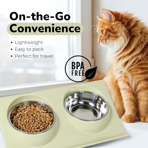 Double Dog Food Bowls Stainless Steel - Puppy Food and Water Bowl Set with Weighted Non-Slip Base - Non-Skid Design - Dog Bowl Set for Puppy Cats Kitten Small Medium Dogs - Green - color: Green