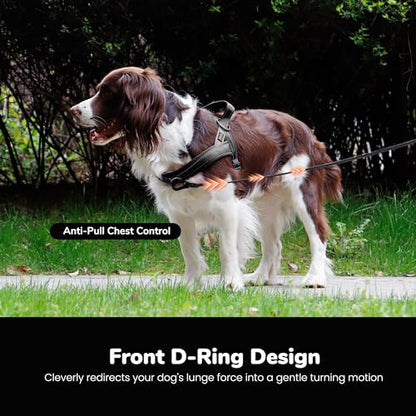 Didog No Pull Dog Harness with Soft Mesh Padded,Reflective & Quick Fit Light Weight Dog Strap Vest Harness,Easy for Walking Training (XS:Chest 15-18", Mesh-Black) - color: Black, size: XS: Chest 15-18", Fit 9-18 lbs