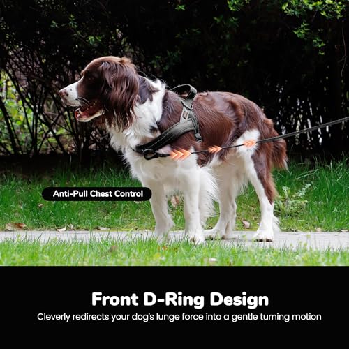 Didog No Pull Dog Harness with Soft Mesh Padded,Reflective & Quick Fit Light Weight Dog Strap Vest Harness,Easy for Walking Training (M:Chest 21-26", Mesh-Black) - color: Black, size: M: Chest 21-26", Fit 28-50 lbs