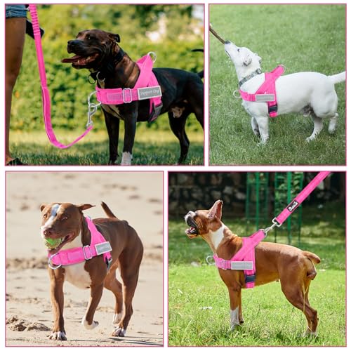Lukovee No Pull Dog Harness and Leash Set - Heavy Duty Dog Vest with Soft Velvet Padding for Medium Large Dogs, Adjustable Reflective Tactical Harness with 2 Control Handles & Front Clip (L, FU) - color: Fuchsia, size: Large