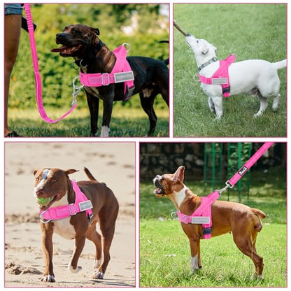 Lukovee No Pull Dog Harness and Leash Set - Heavy Duty Dog Vest with Soft Velvet Padding for Medium Large Dogs, Adjustable Reflective Tactical Harness with 2 Control Handles & Front Clip (M, FU) - color: Fuchsia, size: Medium