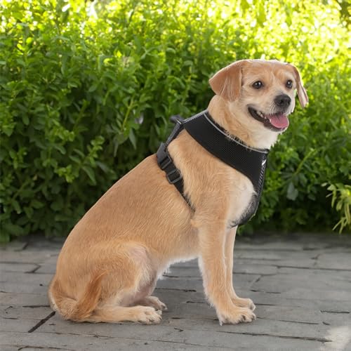 Voyager Aerolite Over The Head Dog Harness, No Pull Breathable Air Mesh Vest, Quick Dry with Reflective Stitching, Adjustable Escape Resistant Harness for Small Medium Large Dogs - Black, Large - color: Black, size: L