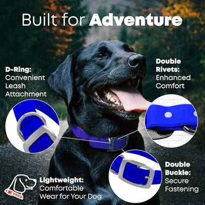 Regal Dog Products Medium Blue with Custom Engraved Waterproof Dog Collar and Leash Set | Waterproof Dog Collar with Double Buckle & D Ring - 5'ft Leash | Matching Dog Collar and Leash for Dogs - color: Blue, size: Medium Collar with leash