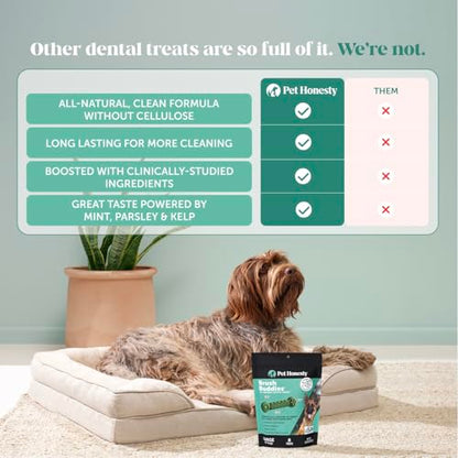 Pet Honesty Brush Buddies All Natural Dog Dental Treats for Dogs – Long Lasting Dental Sticks for Dogs, Teeth Cleaner, Breath Freshener, Plaque & Tartar Remover – Large Sized Dogs (8 Count) - size: Large Dog - 8 Count