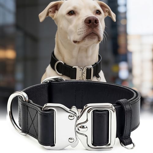 AssuredLock Leather Dog Collar, 1.5” Wide, Smooth Quick-Release Buckle with Adjustable Design, Heavy-Duty Handcrafted Collars for Large Dogs, Black-L - color: Black, size: 17-28.5 In