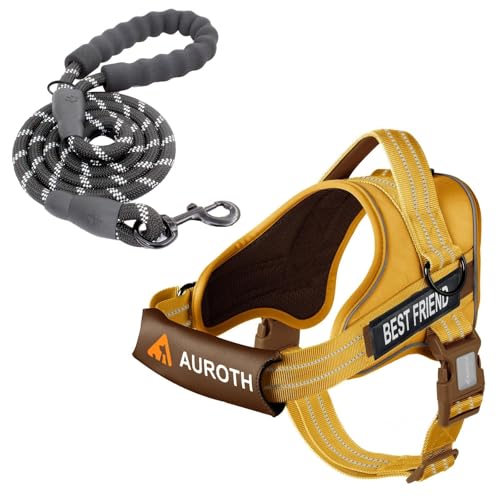 AUROTH Dog Harness and Leash Set, Soft Padded Service Vest Harness with 5.25FT Dog Leash, Easy On Pet Vest, Adjustable Reflective No Pull Dog Harnes Medium Sized, Easy Walking and Training - color: Turmeric, size: Medium