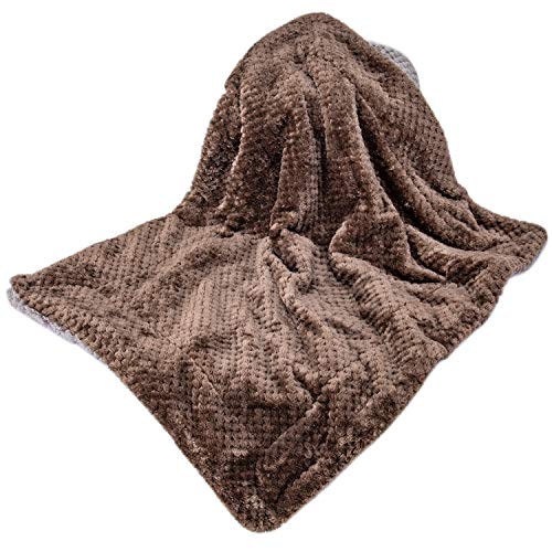 DG-Eagle Grey Plush Fleece Receiving Blanket for Dog, Cat, Couch, Travel - Warm, Soft, 24" x 32" - color: Dg-eagle Grey, size: Blanket (24" x 32")