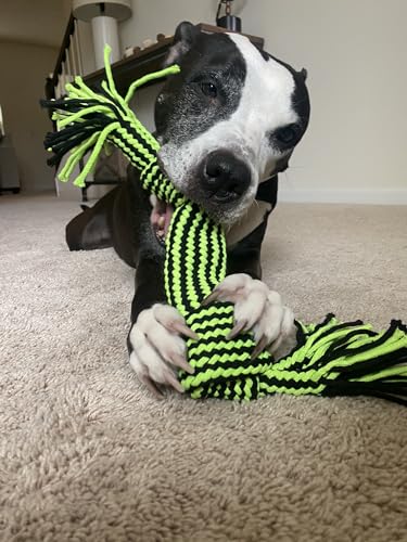 Jolly Pet Knot-N-Chew 2 Squeaker Green/Black Small/Medium - color: 2 Knot Squeaker, size: Small/Medium