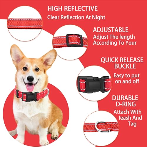 Reflective Dog Collar with Safety Locking Buckle, Adjustable Soft Breathable Nylon Collars for Small, Medium and Large Dogs(Collar+Leash XS Width 3/8" Red) - color: Red, size: XX-Small (Width 3/8")