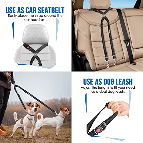 Lukovee Double Dog Seat Belt, New Dual Pet Car Headrest Restraint Safety Seatbelt No Tangle Dog Leash Duty Adjust Elastic Bungee Puppy Lead Splitter Connect Harness in Vehicle Travel for 2 Dogs,Black - color: Black