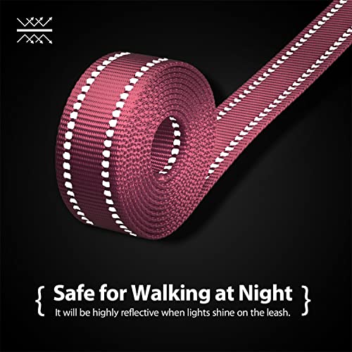 PHOEPET 5 Feet Dog Leash - Dual-Side Reflective - Soft Padded Handle - Fit for Walking, Training or Exploring Hiking, Camping (Baby Pink + Blue Base) - color: Baby Pink + Blue Base