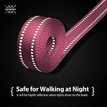 PHOEPET 5 Feet Dog Leash - Dual-Side Reflective - Soft Padded Handle - Fit for Walking, Training or Exploring Hiking, Camping (Baby Pink + Blue Base) - color: Baby Pink + Blue Base