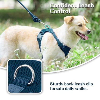 No Pull Dog Harness for Small Medium Large Dogs - Adjustable 2 Layer Mesh Dog Vest with Dual Clip, Escape Proof, Quick Release, Lightweight Breathable Mesh for Walking Hiking (Prussian Blue,S)